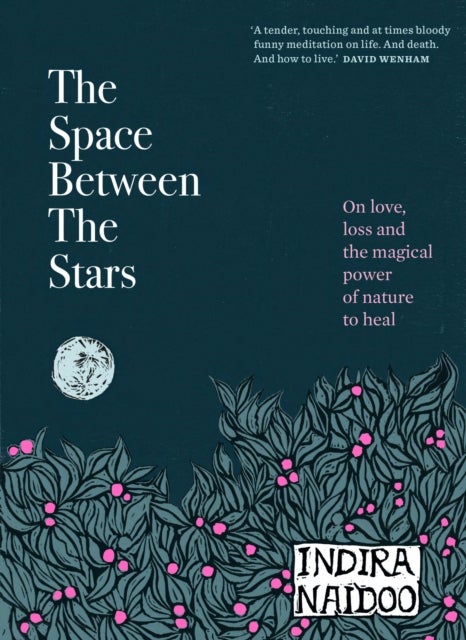 The Space Between the Stars - On love, loss and the magical power of nature to heal