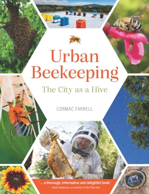 Urban Beekeeping - The city as a hive