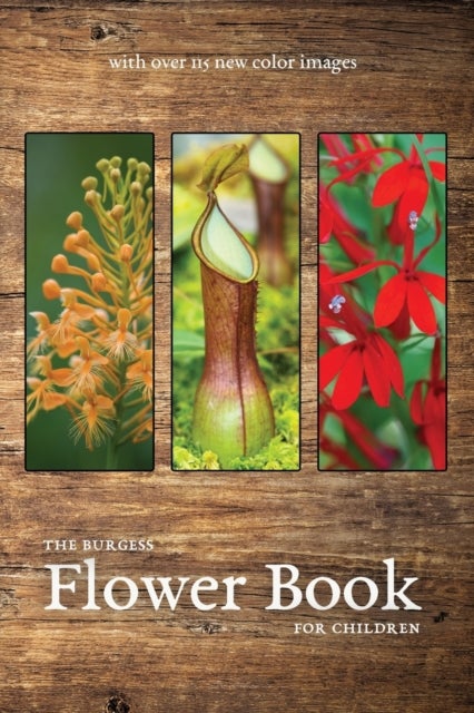 Bilde av The Burgess Flower Book With New Color Images Av Thornton Burgess