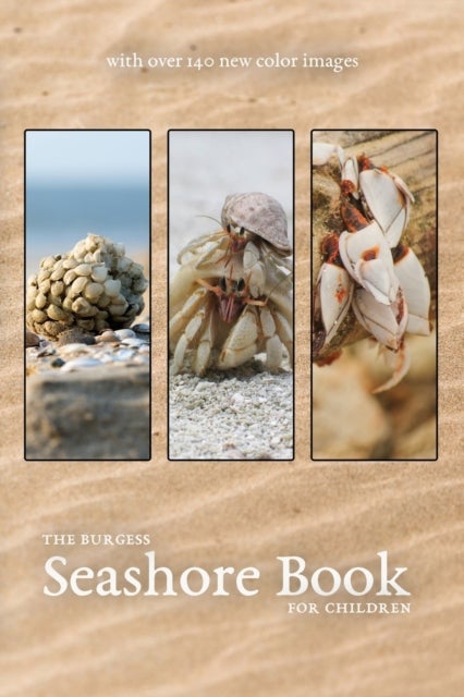 Bilde av The Burgess Seashore Book With New Color Images Av Thornton Burgess