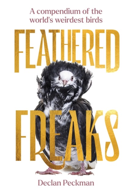 Feathered Freaks - A compendium of the world¿s weirdest birds