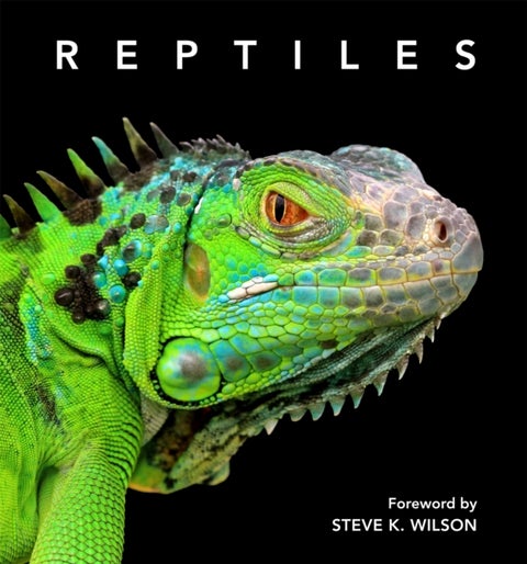 Reptiles - Deluxe Series