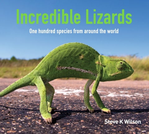 Incredible Lizards - One hundred species from around the world