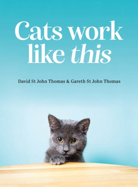 Bilde av Cats Work Like This Av David St John Thomas, Gareth St John Thomas