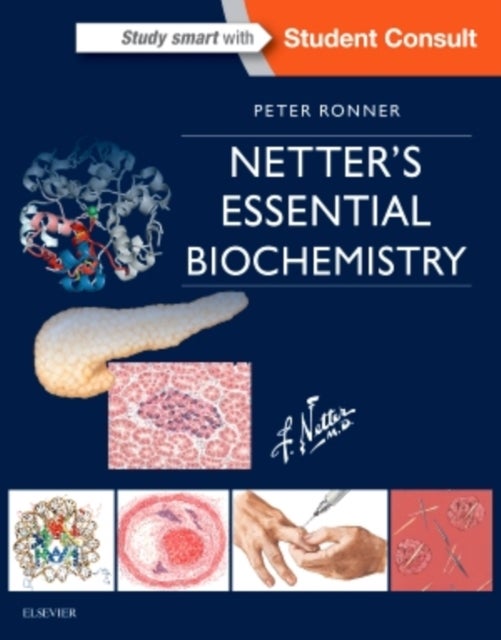 Bilde av Netter&#039;s Essential Biochemistry Av Peter (professor Of Biochemistry And Molecular Biology Professor Of Pharmaceutical Sciences Department Of Bioc