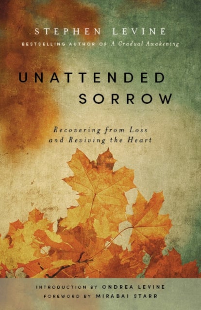 Unattended Sorrow - Recovering from Loss and Reviving the Heart