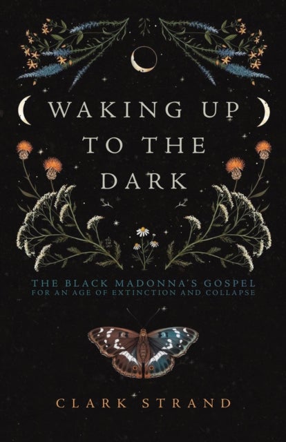 Waking Up to the Dark - The Black Madonna's Gospel for An Age of Extinction and Collapse