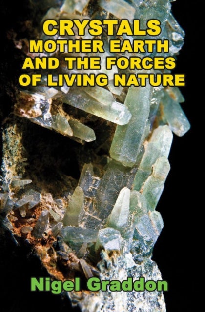 Bilde av Crystals, Mother Earth And The Forces Of Living Nature Av Nigel (nigel Graddon) Graddon