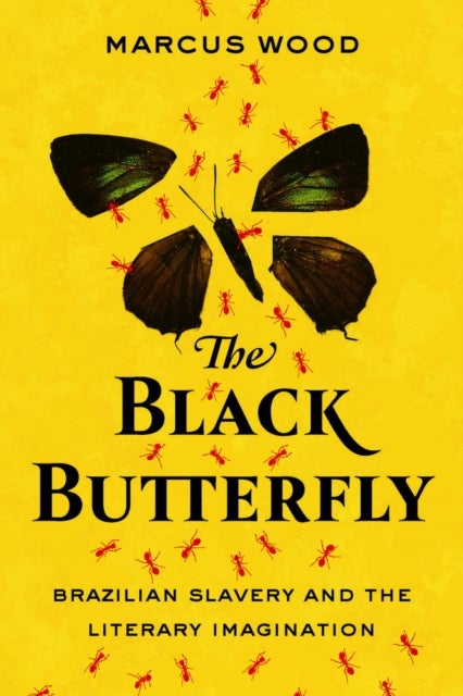 The Black Butterfly - Brazilian Slavery and the Literary Imagination