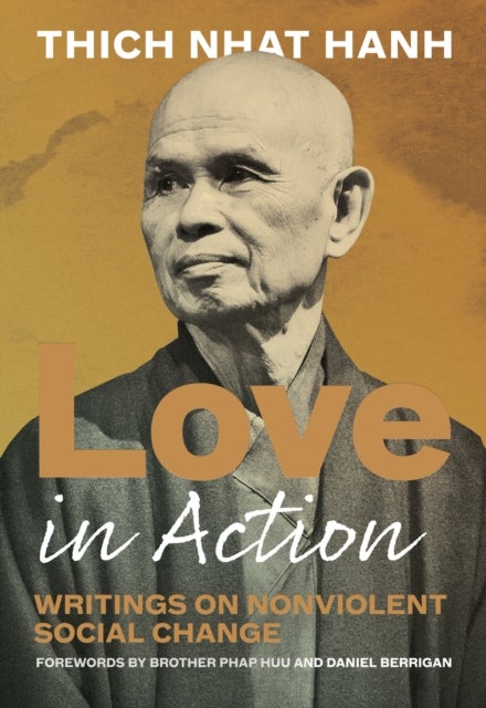 Love in Action, Second Edition - Writings on Nonviolent Social Change