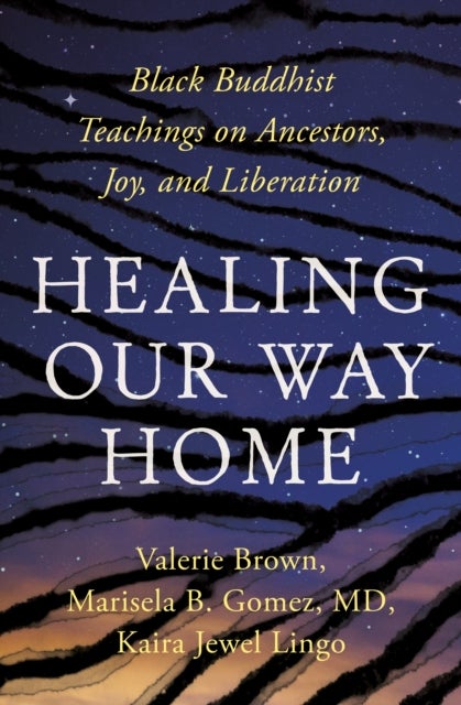 Healing Our Way Home - Black Buddhist Teachings on Ancestors, Joy, and Liberation
