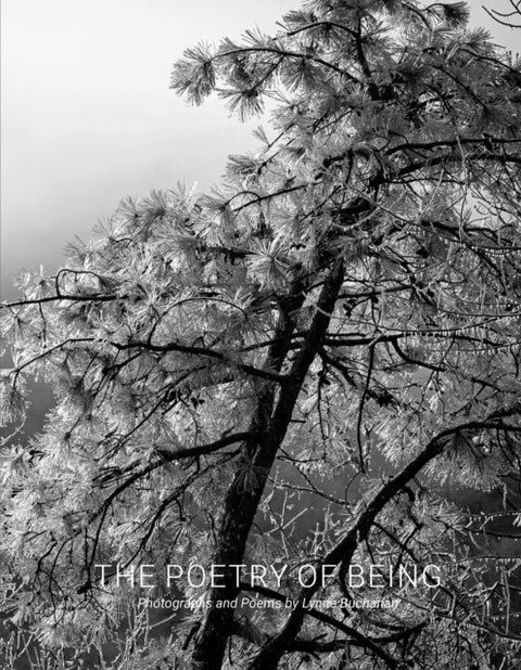 The Poetry of Being - Photographs and Haikus