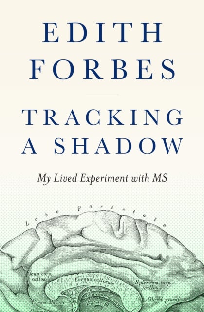 Tracking a Shadow - A Lived Experiment with MS