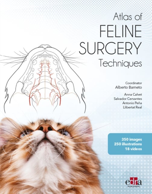 Bilde av Feline Surgery Av Alberto Barneto, Anna Calvet, Salvador Cervantes, Antonio Pena, Llibertat Real