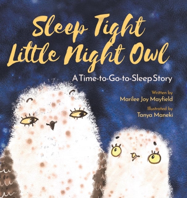 Sleep Tight Little Night Owl - A Time-to-Go-to-Sleep Story