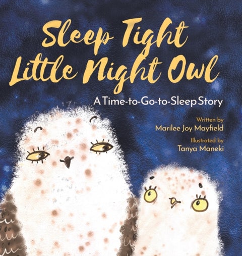 Sleep Tight Little Night Owl - A Time-to-Go-to-Sleep Story