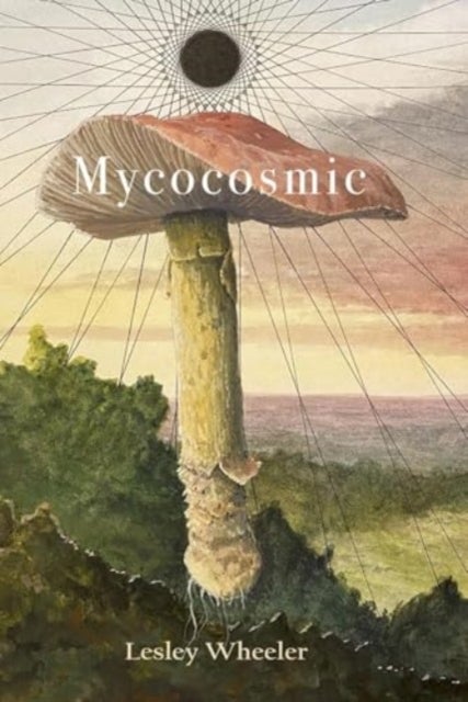 Mycocosmic