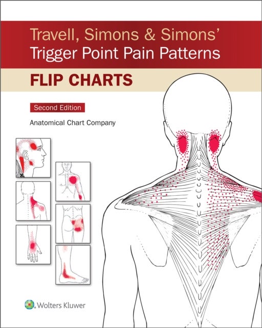 Bilde av Travell, Simons &amp; Simons&#039; Trigger Point Pain Patterns Flip Charts Av Anatomical Chart Company