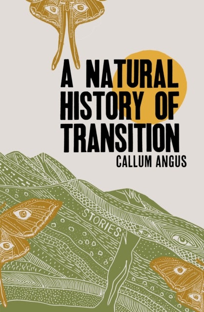A Natural History Of Transition - Stories