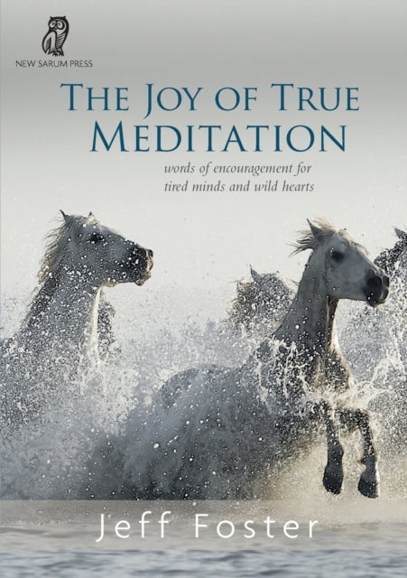 The joy of True Meditation - Words of Encouragement for Tired Minds and Wild Hearts
