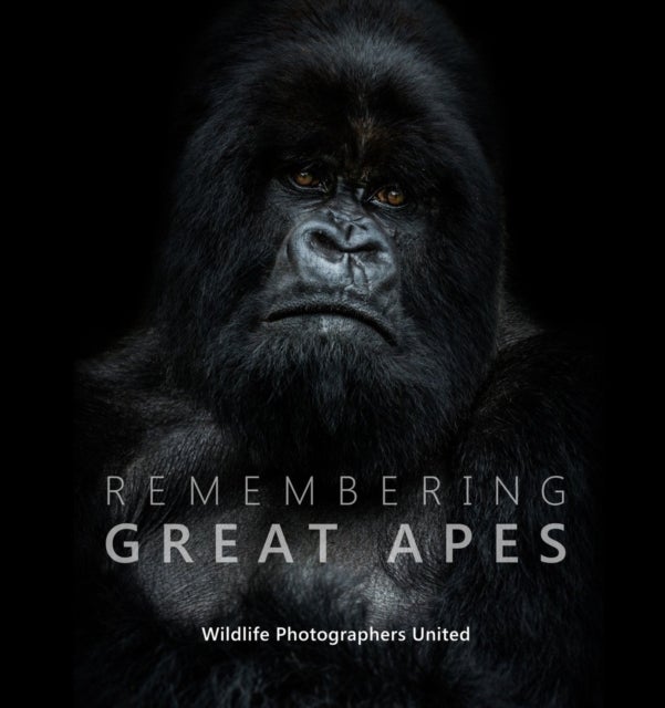 Bilde av Remembering Great Apes