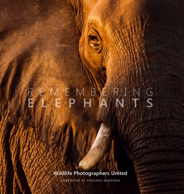 Bilde av Remembering Elephants