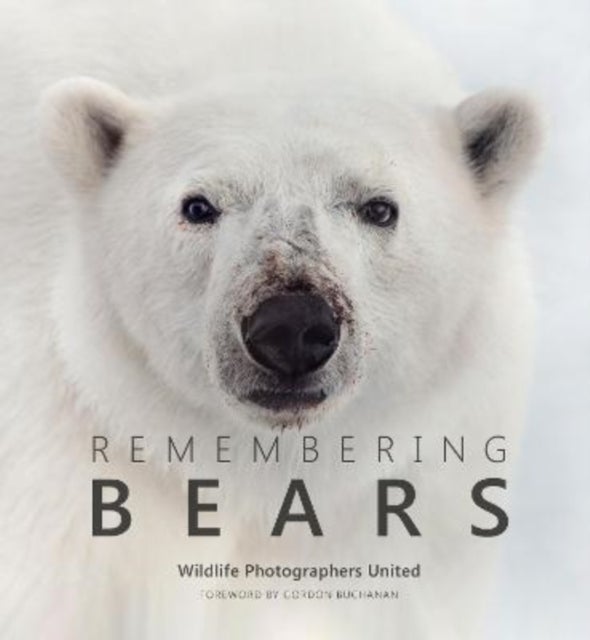 Bilde av Remembering Bears