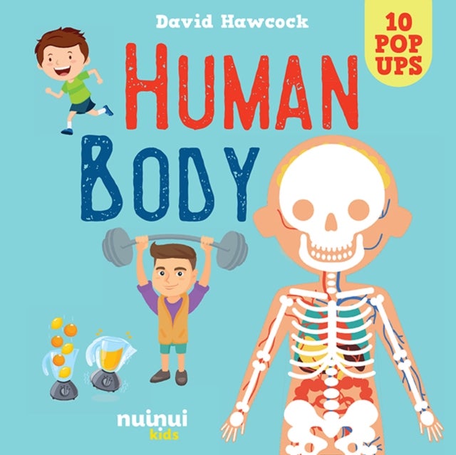 Bilde av Human Body Av David Hawcock