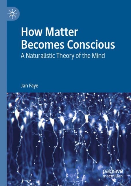 How Matter Becomes Conscious - A Naturalistic Theory of the Mind