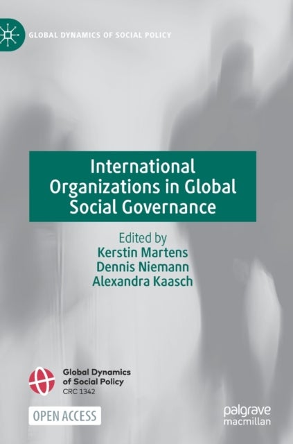 Bilde av International Organizations In Global Social Governance