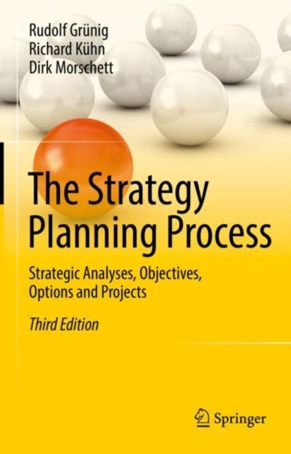 The Strategy Planning Process - Strategic Analyses, Objectives, Options and Projects