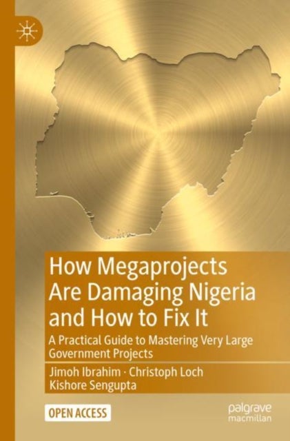 How Megaprojects Are Damaging Nigeria and How to Fix It - A Practical Guide to Mastering Very Large Government Projects