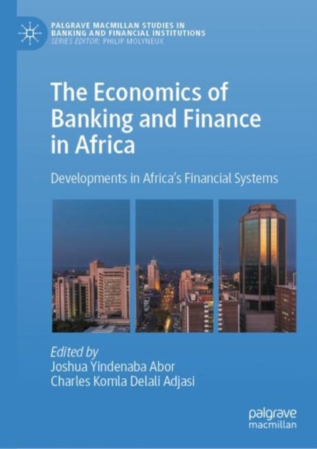Bilde av The Economics Of Banking And Finance In Africa