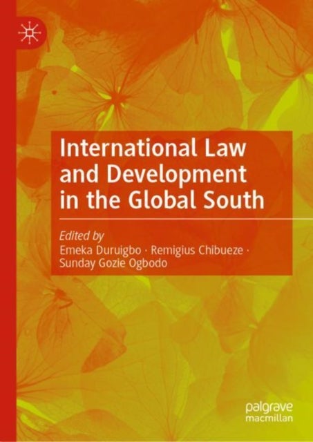 Bilde av International Law And Development In The Global South