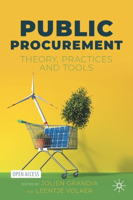 Public Procurement - Theory, Practices and Tools