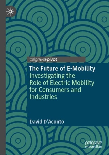 The Future of E-Mobility - Investigating the Role of Electric Mobility for Consumers and Industries