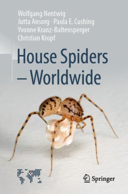 House Spiders - Worldwide