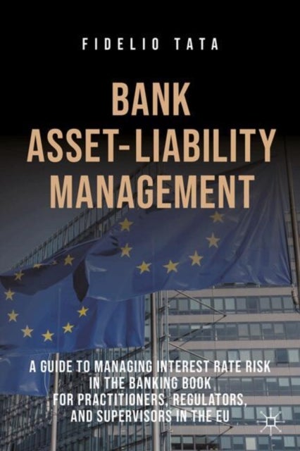 Bank Asset-Liability Management - A Guide to Managing Interest Rate Risk in the Banking Book for Practitioners, Regulators, and Superv