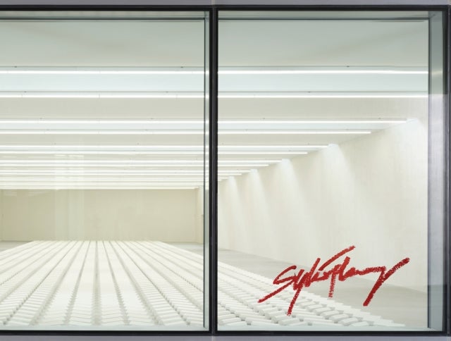 Sylvie Fleury - Double Positive