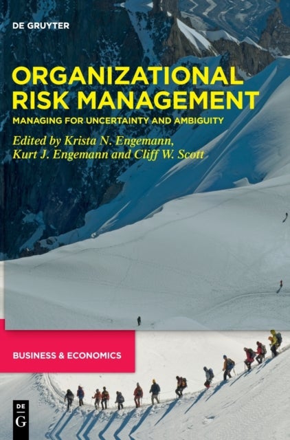 Bilde av Organizational Risk Management