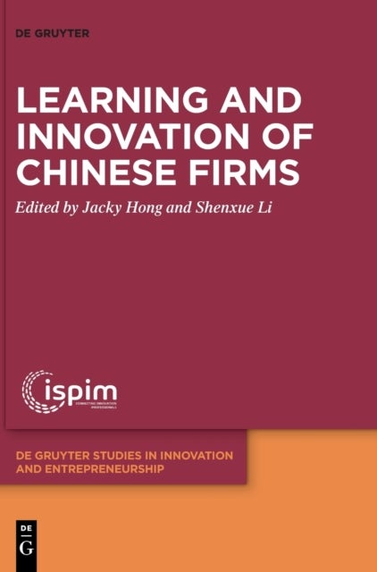 Bilde av Learning And Innovation Of Chinese Firms