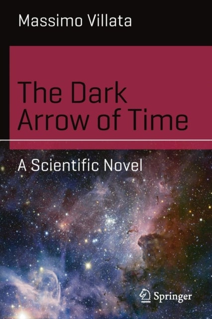 The Dark Arrow of Time - A Scientific Novel