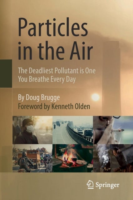 Particles in the Air - The Deadliest Pollutant is One You Breathe Every Day