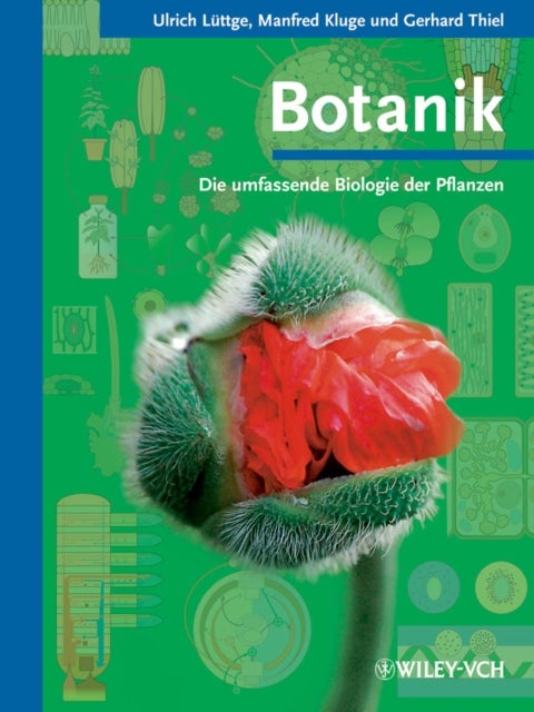 Bilde av Botanik Av Ulrich (tu Darmstadt) Luttge, Manfred (tu Darmstadt) Kluge, Gerhard (tu Darmstadt) Thiel