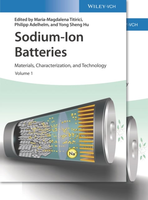 Sodium-Ion Batteries - Materials, Characterization, and Technology, 2 Volumes