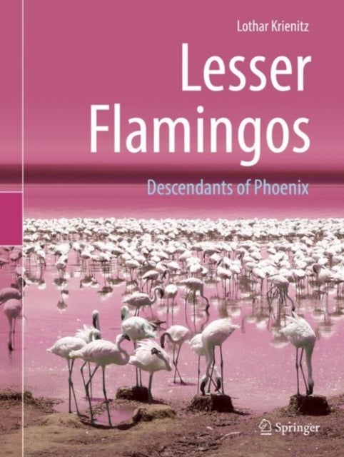 Lesser Flamingos - Descendants of Phoenix