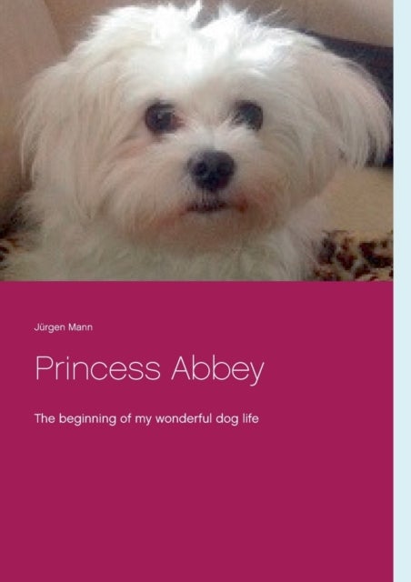 Princess Abbey - The beginning of my wonderful dog life