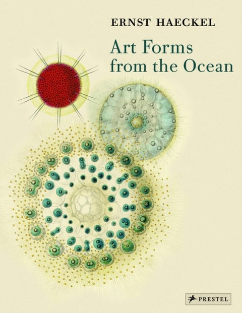 Art Forms from the Ocean - The Radiolarian Prints of Ernst Haeckel