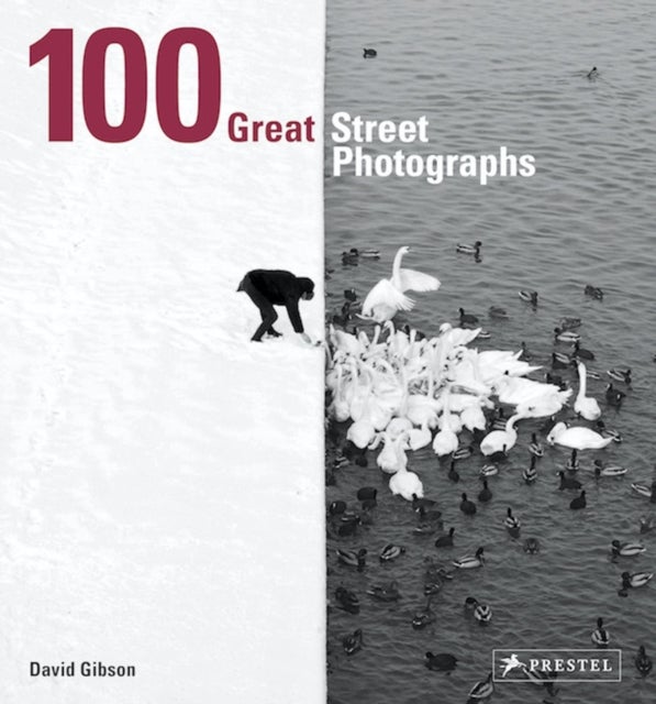 100 Great Street Photographs - Paperback Edition