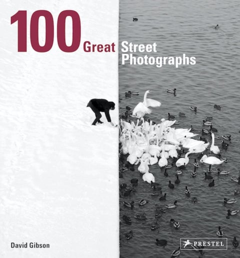 100 Great Street Photographs - Paperback Edition